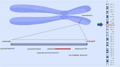 Long non-coding RNA LINC00152 in cancer: Roles, mechanisms, and chemotherapy and radiotherapy resistance